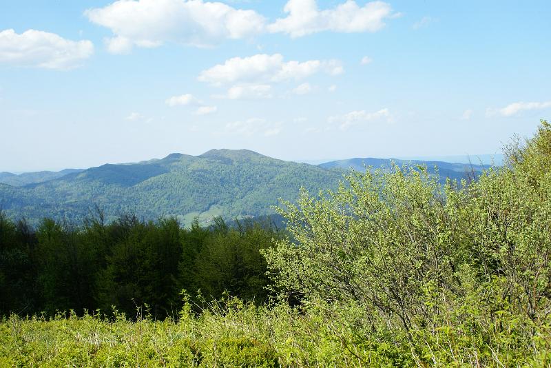 DSC00109.JPG