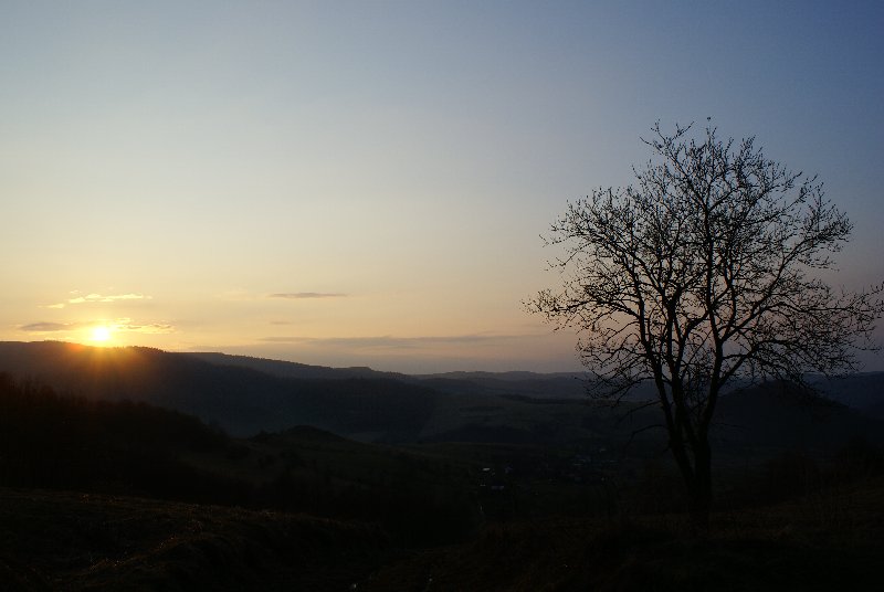 DSC03220.JPG
