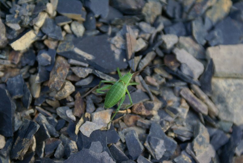 DSC03909.JPG