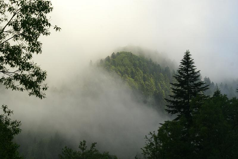 DSC04654.JPG