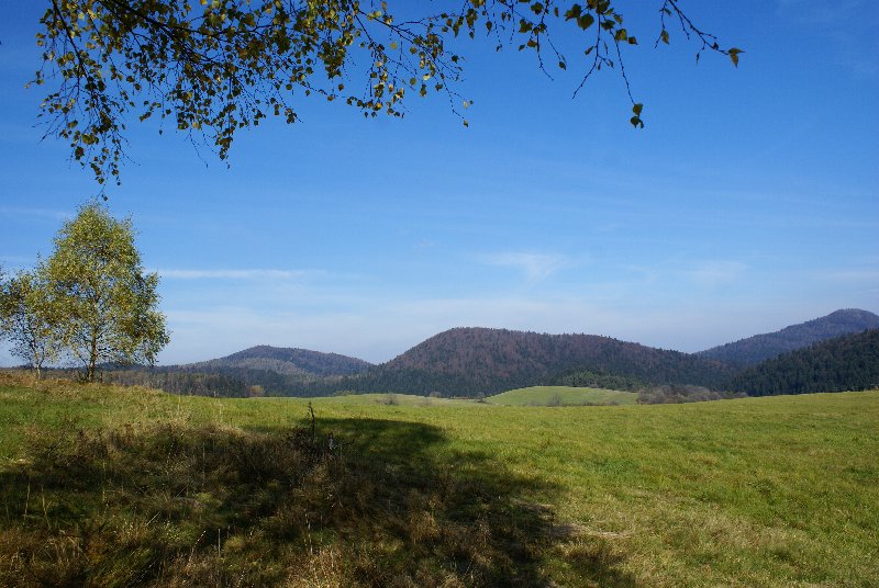 DSC06698.JPG