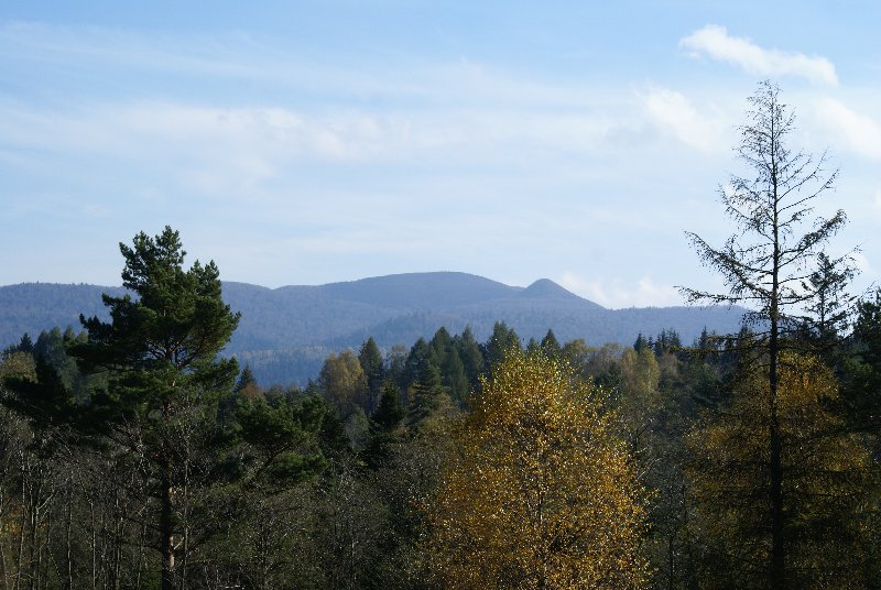 DSC06700.JPG