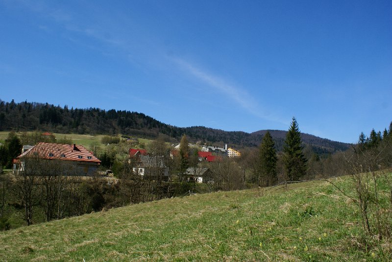 DSC09548.JPG