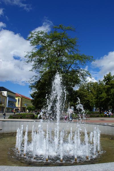 DSC05568.JPG