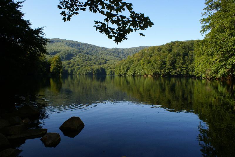 DSC05802.JPG