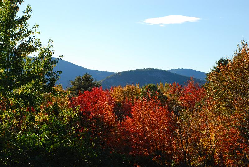 DSC_0067.JPG