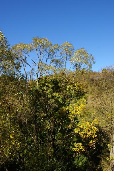 DSC06622.JPG
