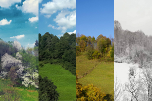 Cztery pory roku w Cisnej w Bieszczadach