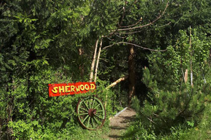 Las Sherwood w Cisnej w Bieszczadach