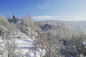 Zimowy widok z balkonu z Willi Helena w Cisnej