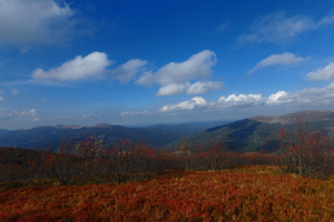 Jesienny widok z Połonin w Bieszczadach