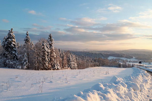 Piękna zimowa panorama w Bieszczadach