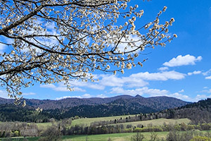 Wiosenne Bieszczady